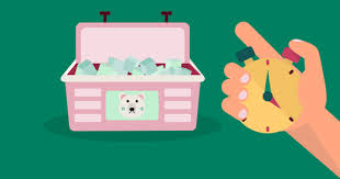 TEST – Monogram Name Necklace (Workflow)